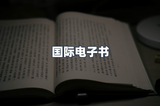 国际电子书